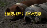 《星际战甲》ZAW无紫卡配卡推荐